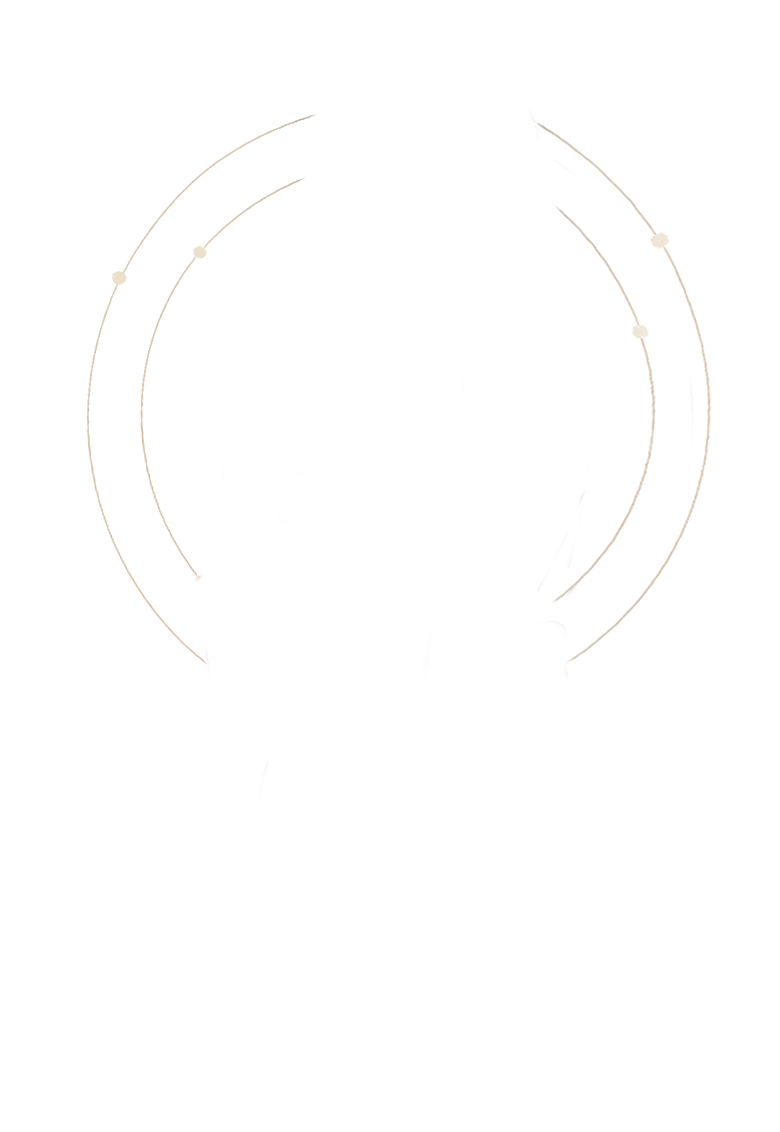 Círculos Decorativos
